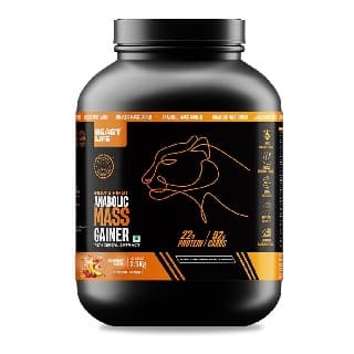 BeastLife Anabolic Mass Gainer, 5.5 lb Strawberry Banana by BeastLife